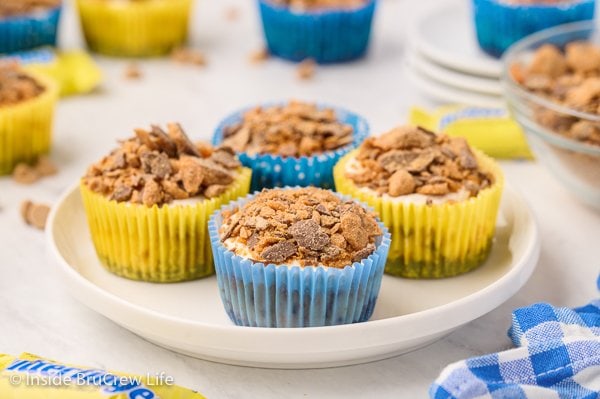 A white plate with mini cheesecakes in blue and yellow cupcake liners on it.