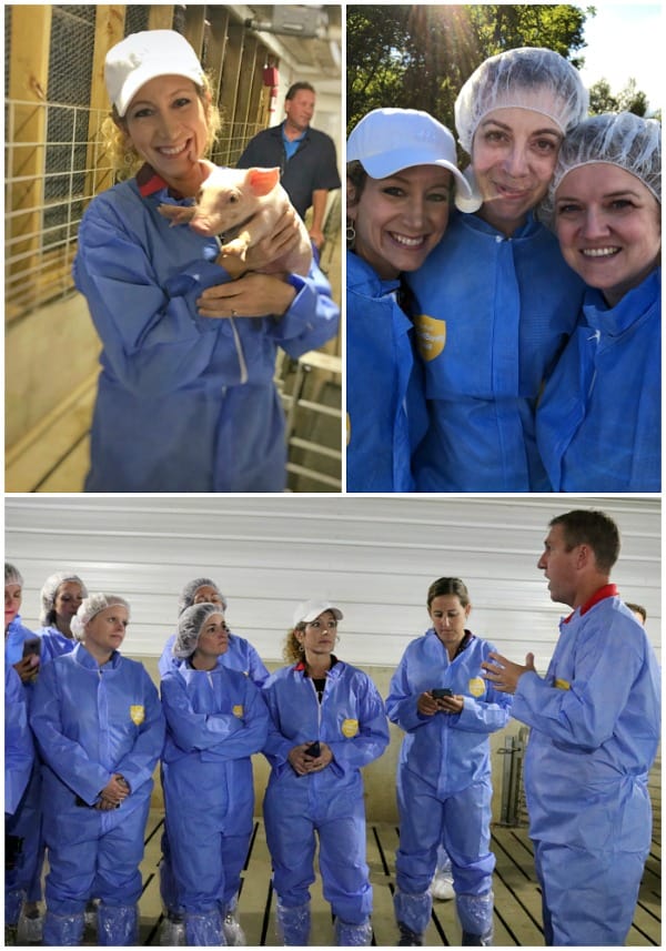 Three pictures collaged together of a group of bloggers learning about pig farming and how to cook pork