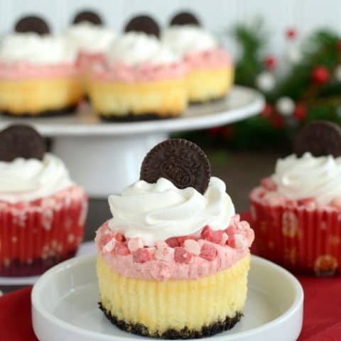 White Chocolate Peppermint Mousse Cheesecakes