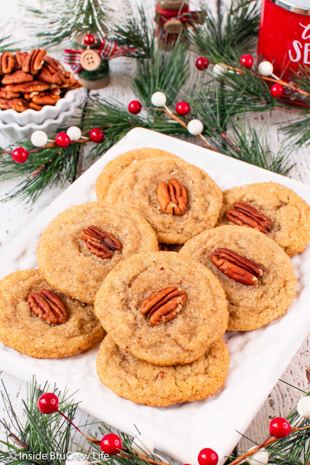 A white plate with spice cookies on it.