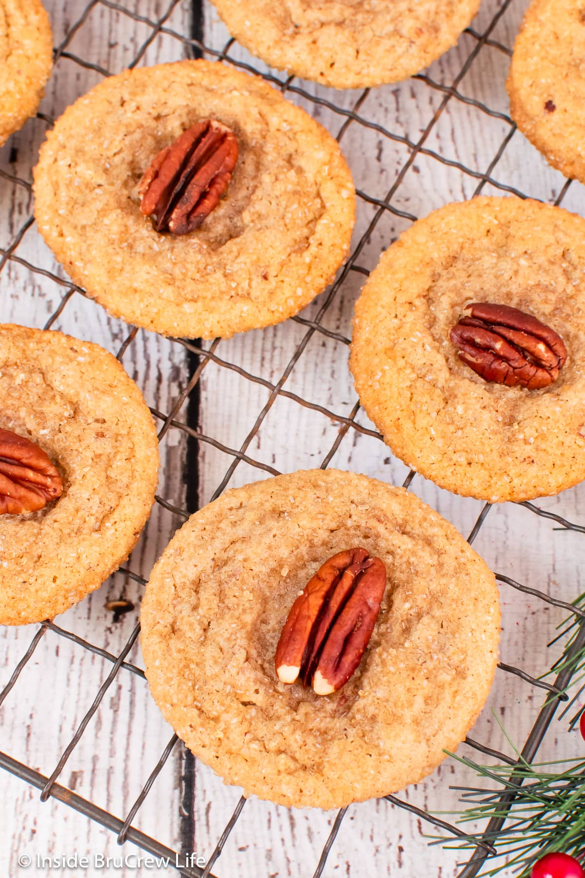 A close picture of cookies on a wire rack.