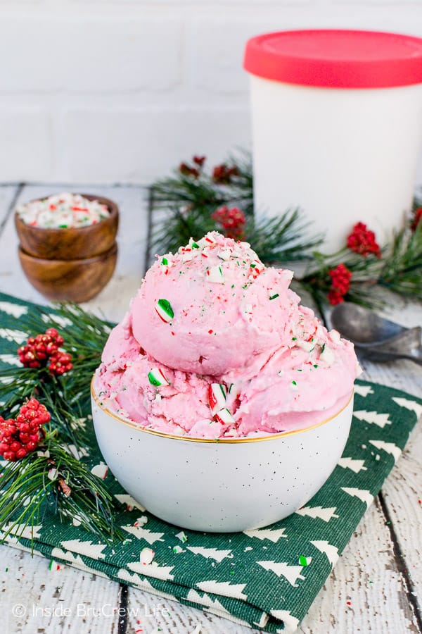 Peppermint Stick Ice Cream in a white bowl with a gold rim.