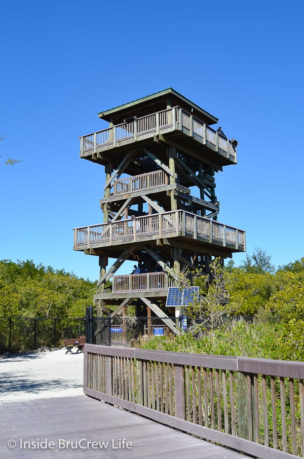 Manatee Viewing Area - enjoy a one mile hike at the sanctuary to see the observation tower