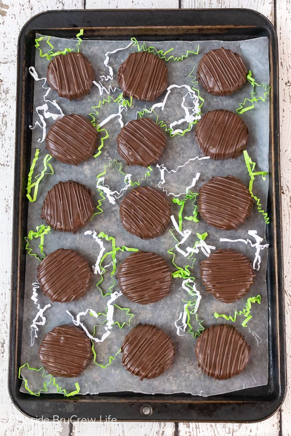 15 chocolate covered key lime coconut patties on a brown cookie sheet on top of parchment paper.