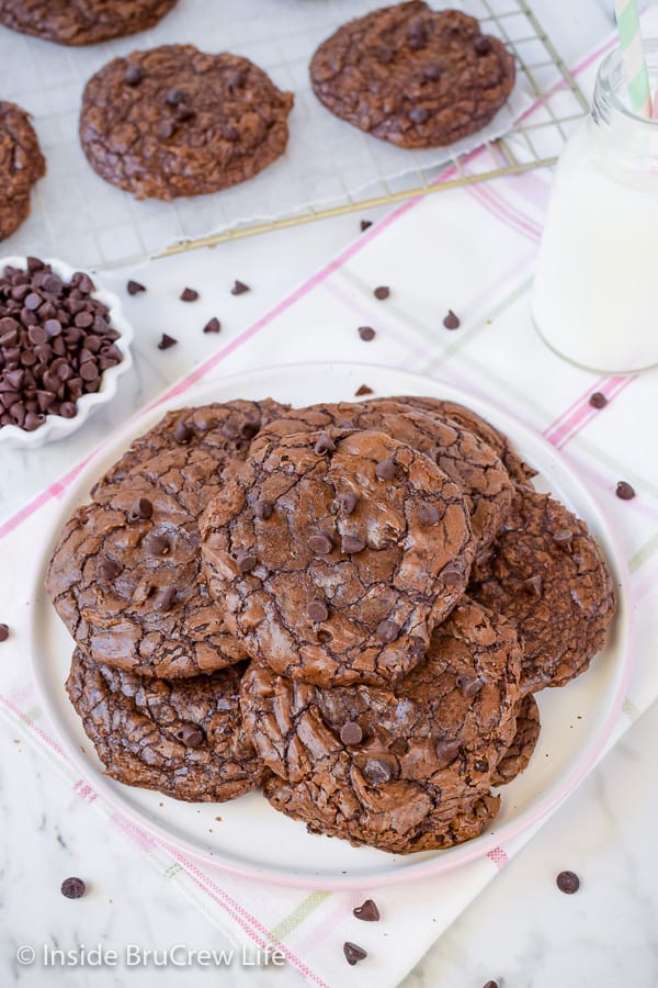 Overhead picture of a plate with lots of chocolate cookies stacked on it.