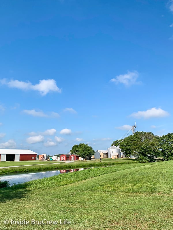 Fun Facts about Soybeans - learn how soybeans are farmed and processed and learn about the health benefits of incorporating soy in your meals.