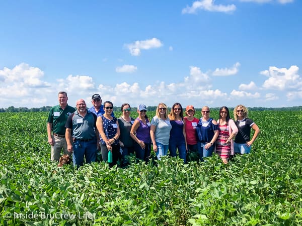 Fun Facts about Soybeans - learn how soybeans are farmed and processed and learn about the health benefits of incorporating soy in your meals.