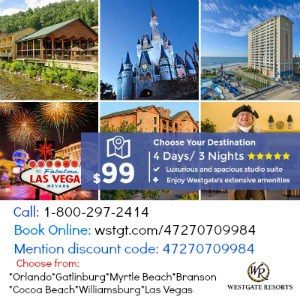 Book a Fun Vacation Getaway