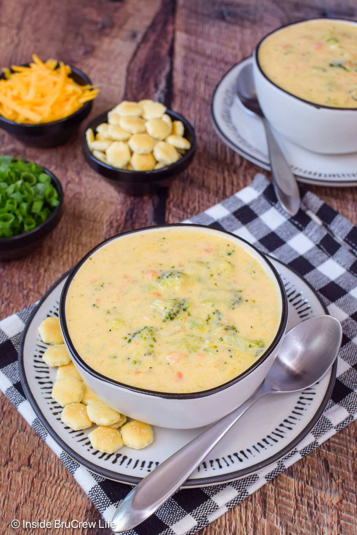 A bowl of creamy cheese soup on a plate.