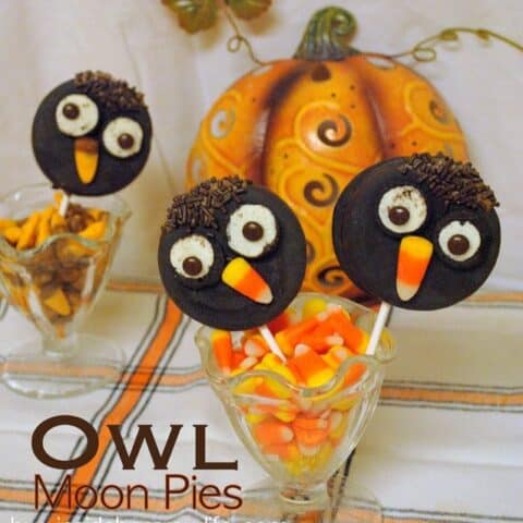 Owl Moon Pies