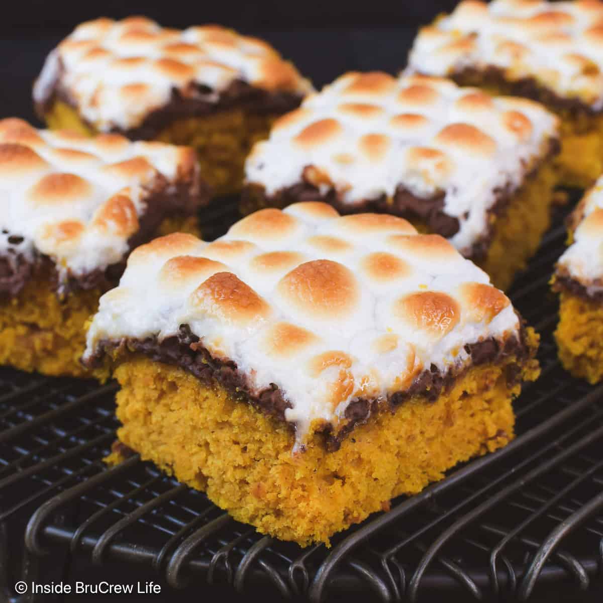 Pumpkin bars with melted chocolate and marshmallows on top.