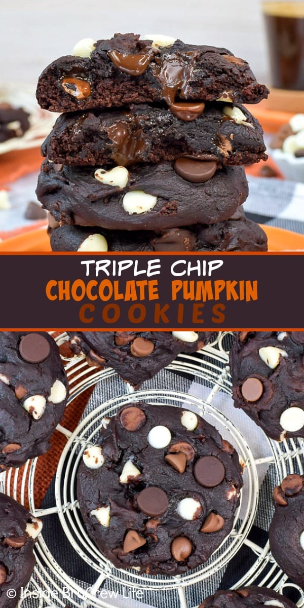 Two pictures of triple chip chocolate pumpkin cookies collaged together with a dark brown text box.