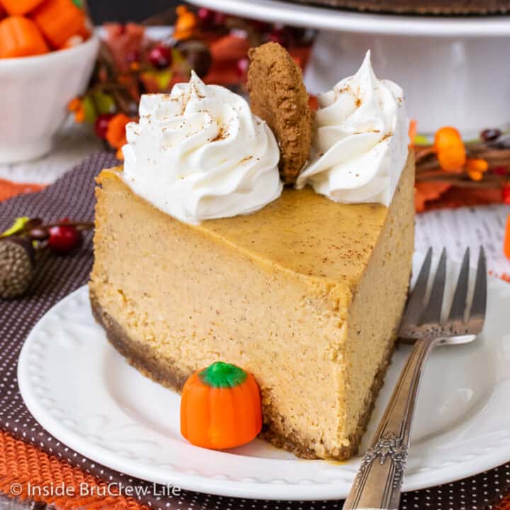 A slice of pumpkin cheesecake with Cool Whip swirls on a white plate.