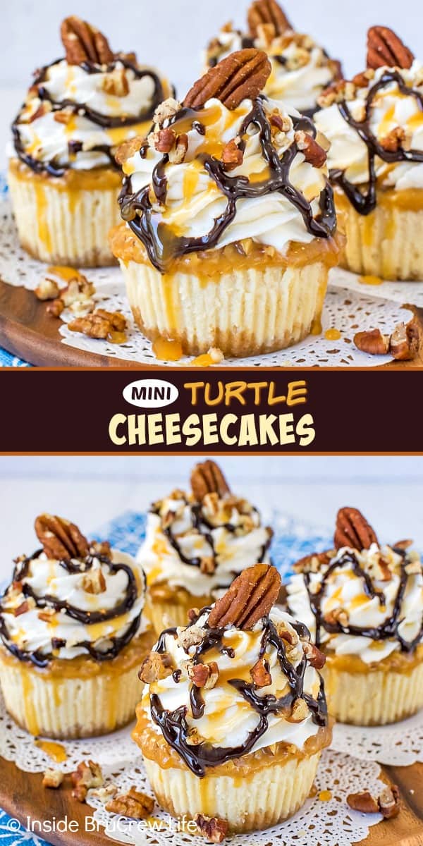 Two pictures of mini turtle cheesecakes collaged together with a brown text box