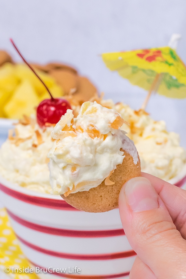 A vanilla wafer being held up with pina colada fruit dip on it and the bowl of fruit dip behind it