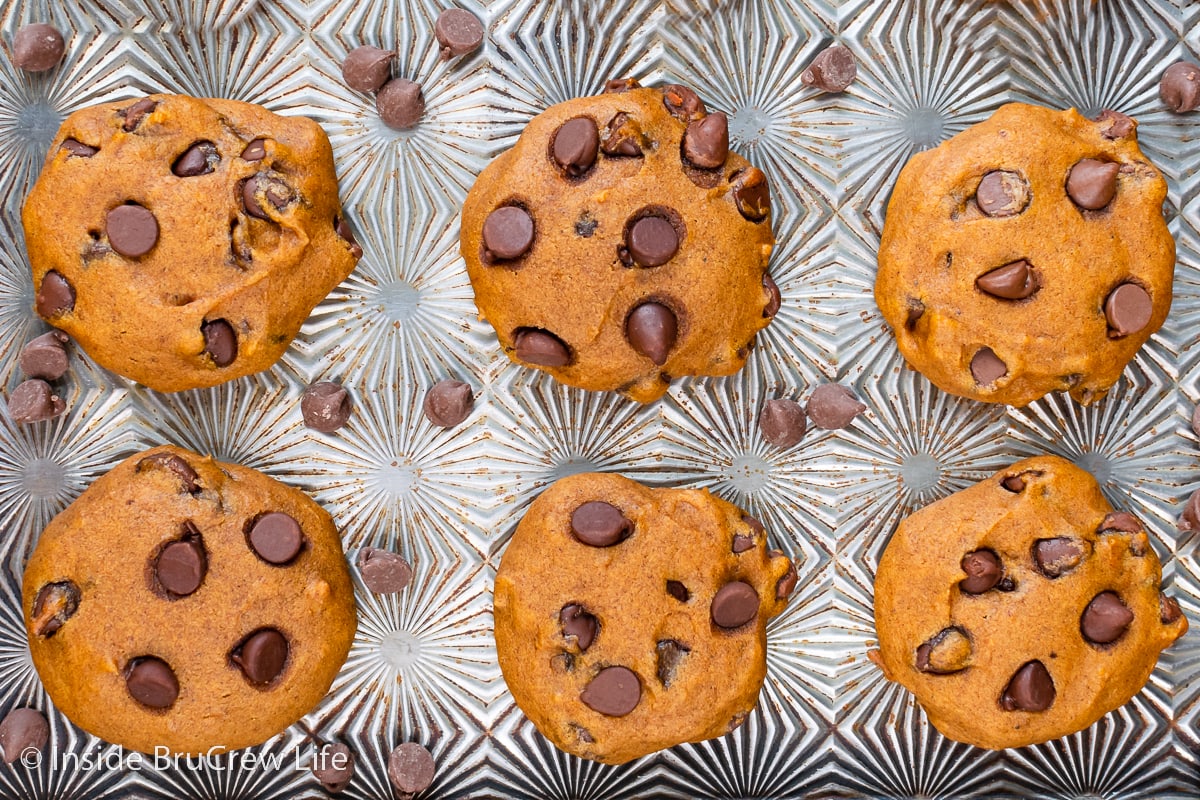 Pumpkin cookies with chocolate chips on a metal tray.