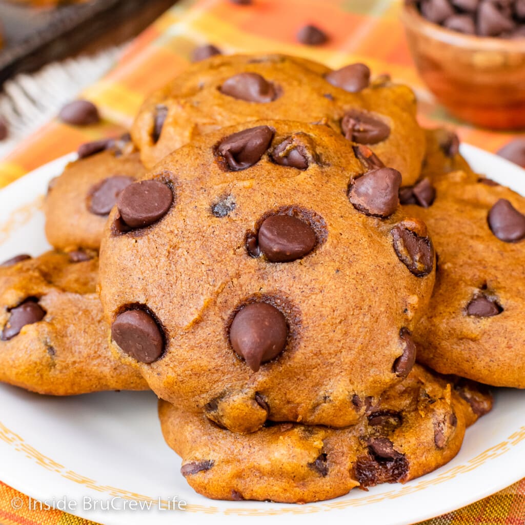 Best Soft Pumpkin Chocolate Chip Cookies Recipe - Inside BruCrew Life