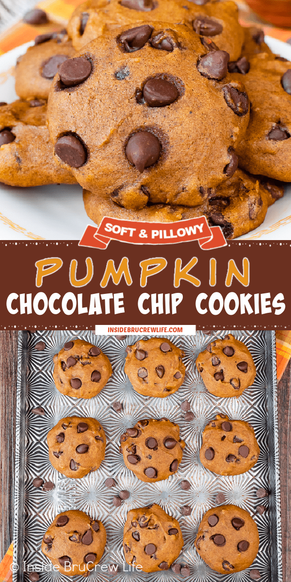 Two pictures of pumpkin chocolate chip cookies collaged together with a brown text box.
