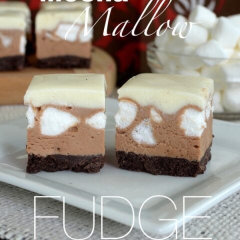 Mocha Mallow Fudge