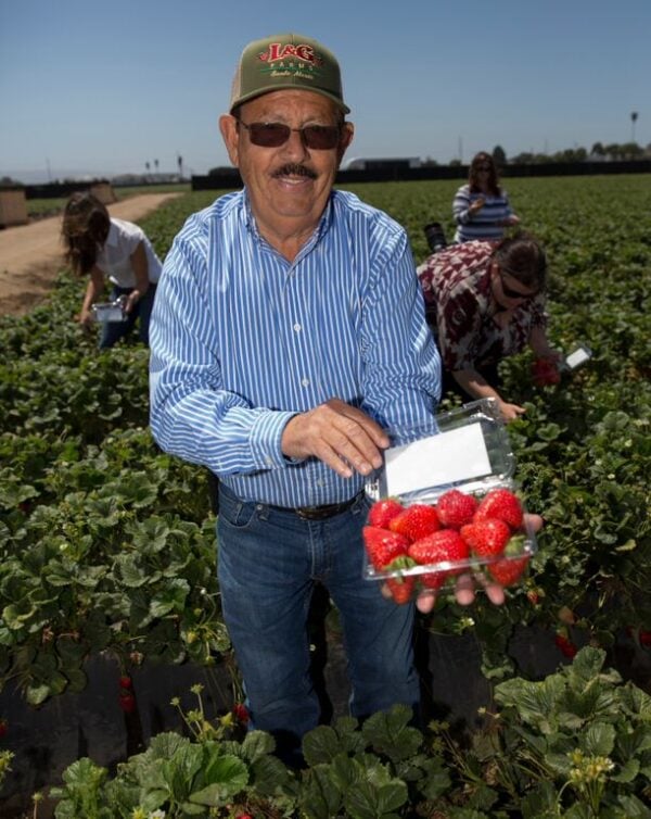 Farmer Luis Chavez from L&G Farms in California holding a box of strawberries