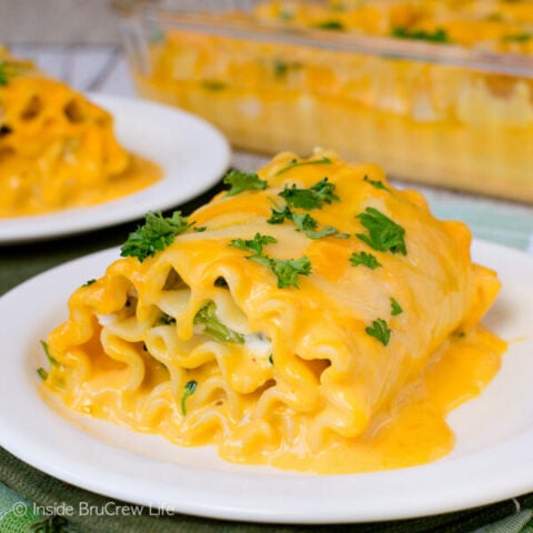 A white plate with a cheesy chicken lasagna roll up on it.