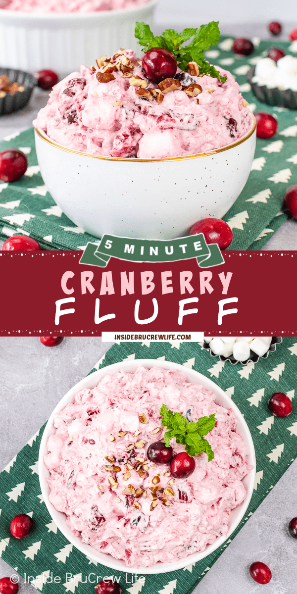 Two pictures of cranberry fluff collaged together with a burgundy text box.