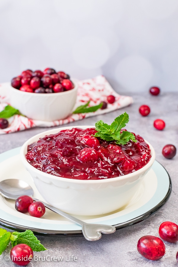 A white bowl of cranberry sauce on a plate and bowl of whole cranberries behind it.
