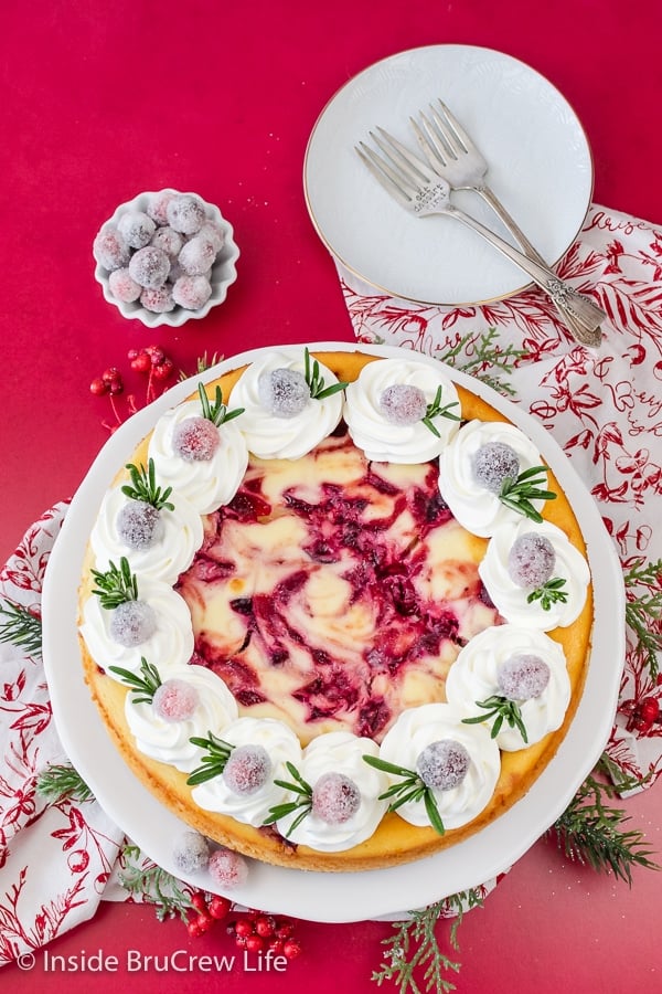 An overhead picture of a swirled cranberry cheesecake topped with Cool Whip, candied cranberries, and thyme.