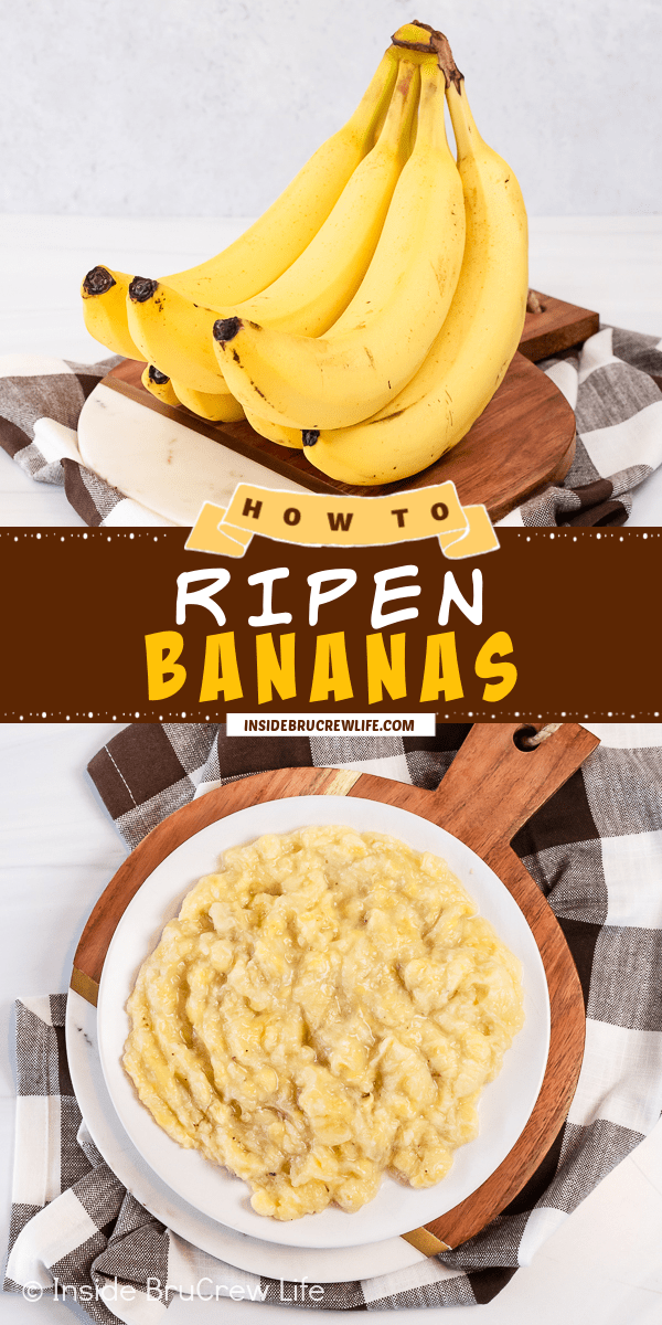 Two pictures of ripe bananas collaged together with a brown text box.