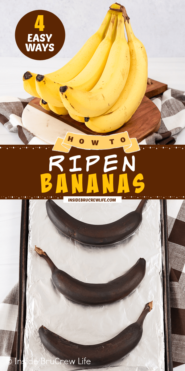 Two pictures of yellow and black bananas collaged together with a brown text box.