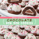 Two pictures of bon bon cookies with a green text box.