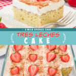 Two pictures of tres leches cake with a teal text box.