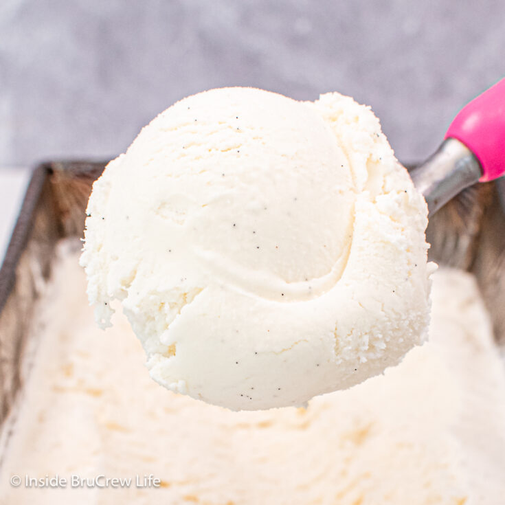 Vanilla Bean Ice Cream - Inside BruCrew Life