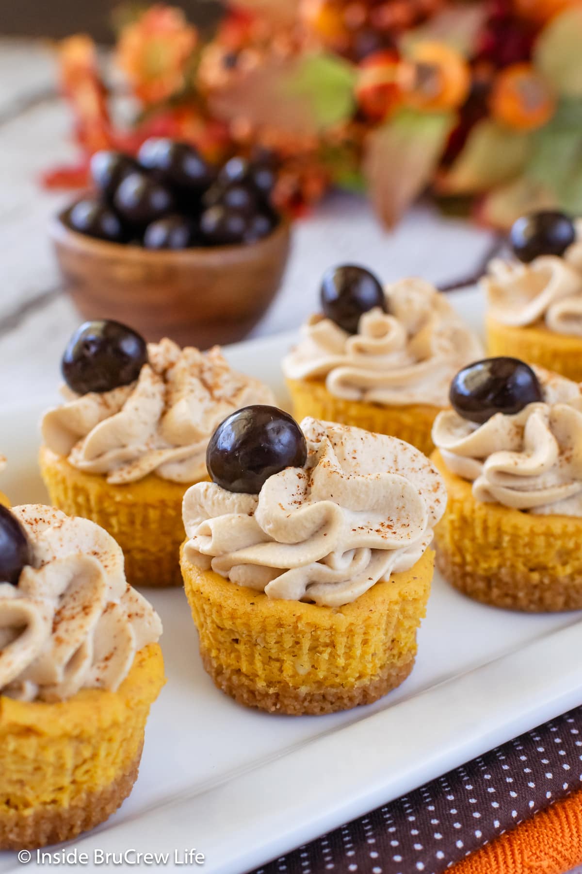 A white plate with bite-sized fall cheesecakes.