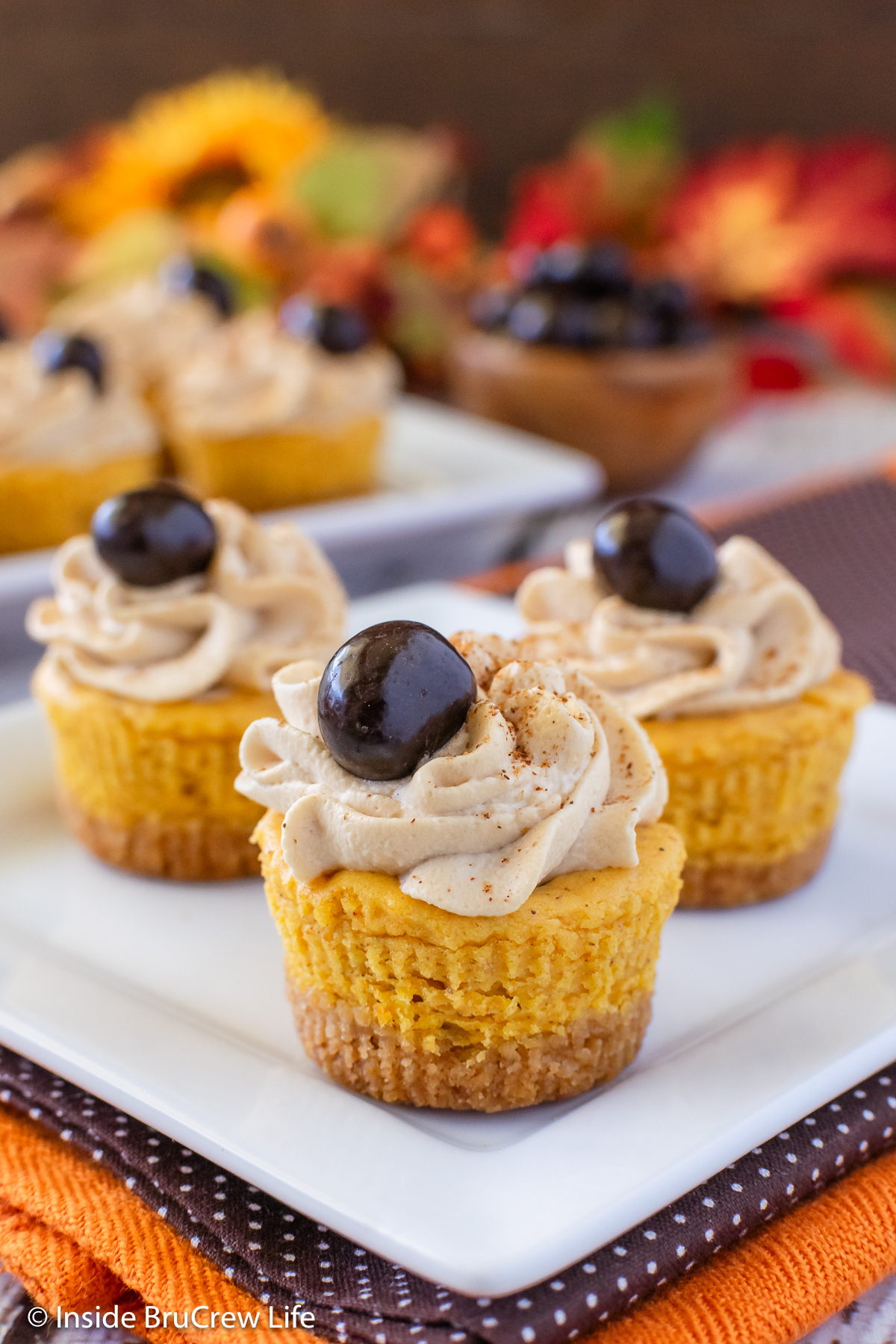 Three mini cheesecakes with whipped cream on a white plate.