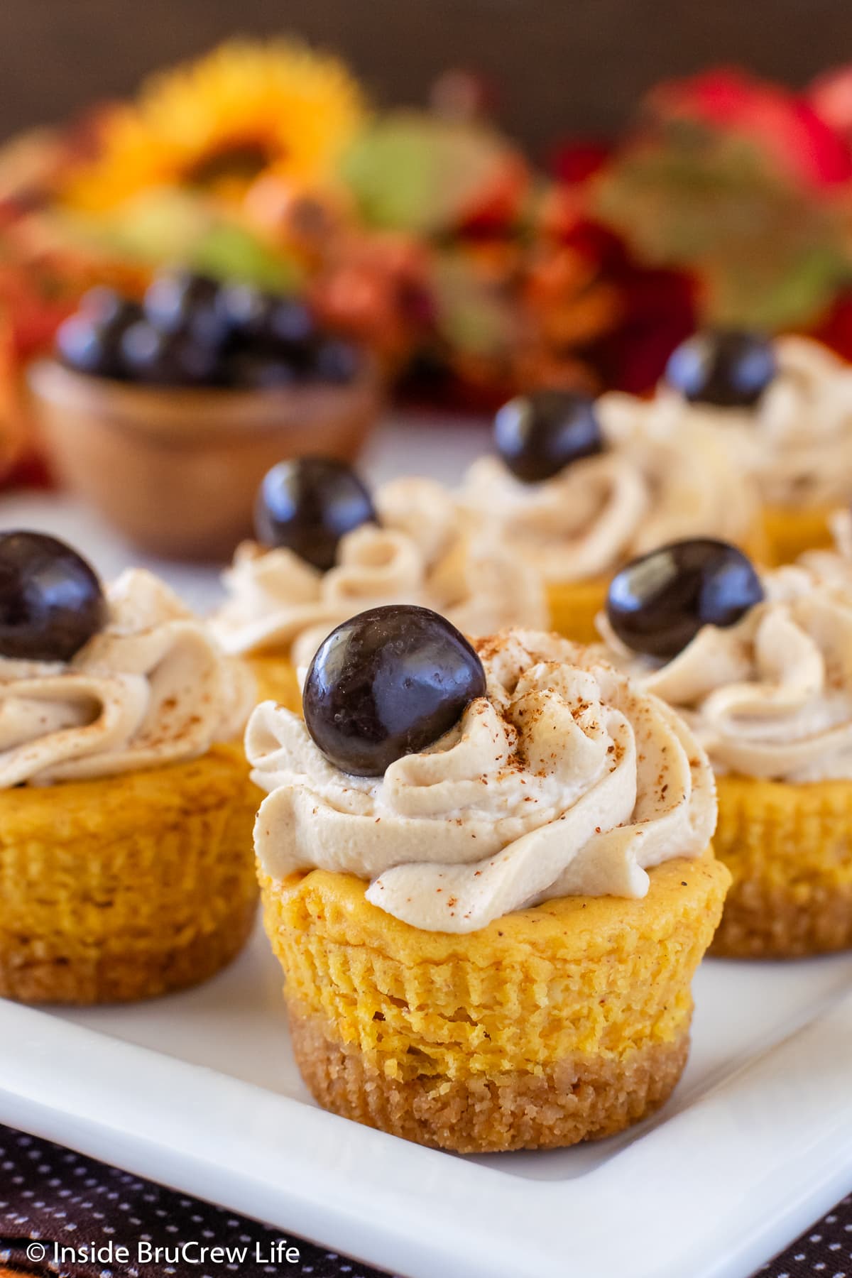 Mini pumpkin cheesecake bites on a white plate.