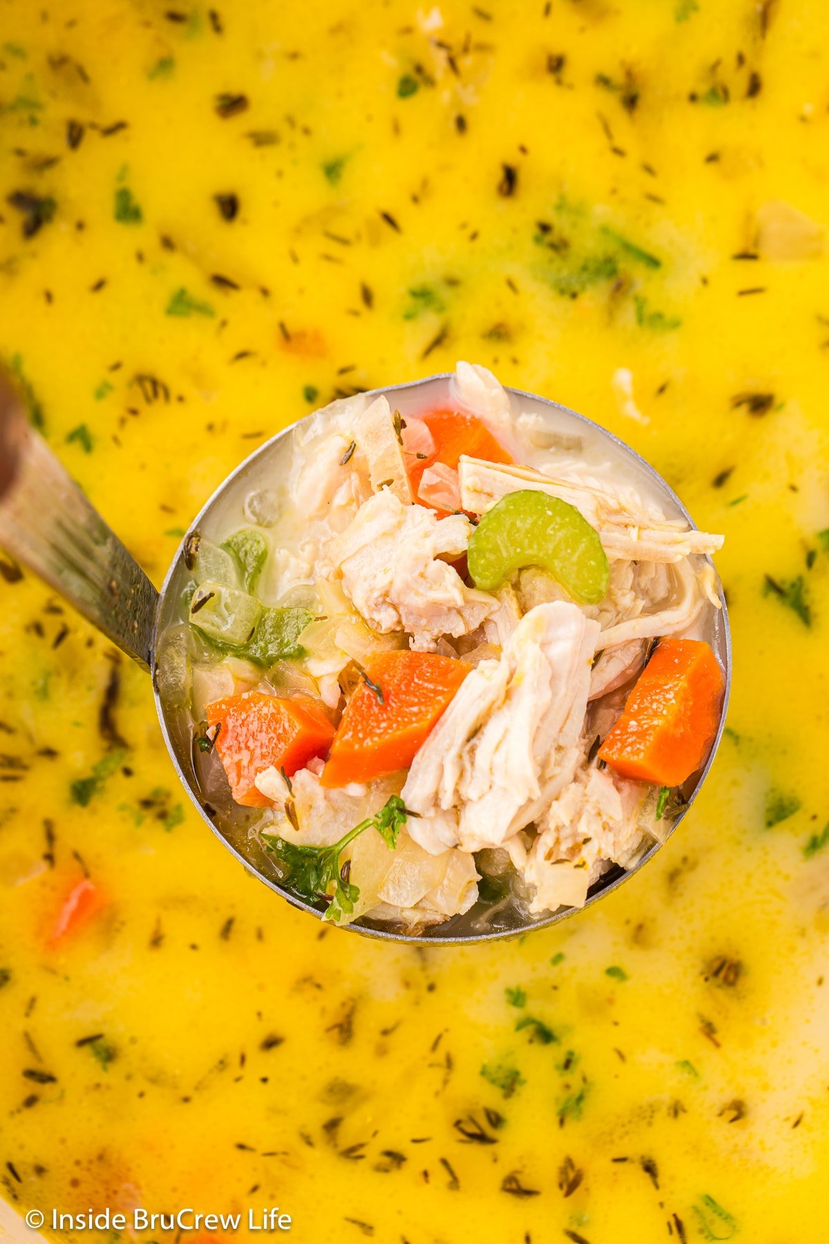 A lade filled turkey soup.