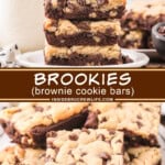 Two pictures of brookies collaged with a brown text box.