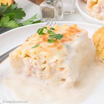 A white plate with a creamy Alfredo lasagna roll up on it.