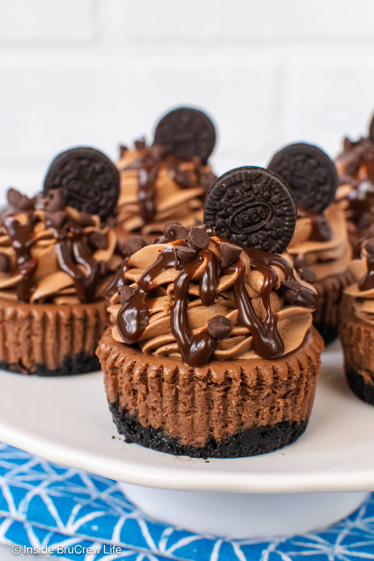 A close up of mini chocolate cheesecakes on a white plate.