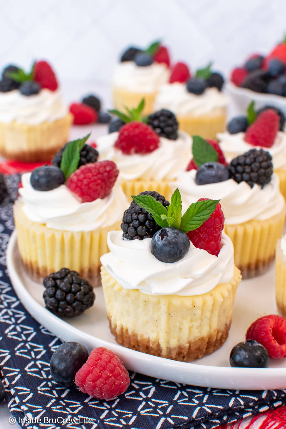 A white plate filled with muffin pan cheesecakes.