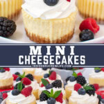 Two pictures of mini cheesecakes baked in a muffin pan collaged with a blue text box.