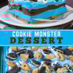 Two pictures of cookie monster dessert collaged with a blue text box.