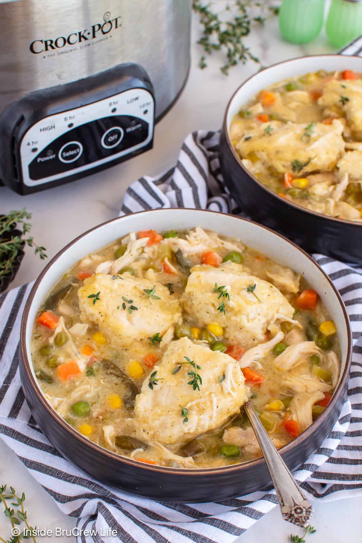 A bowl of chicken and dumplings with a crockpot behind it.