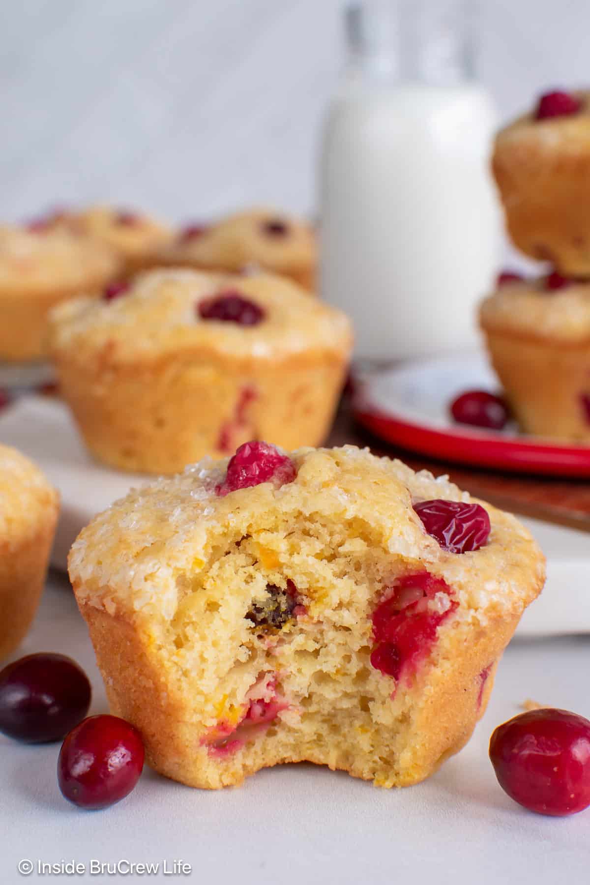 Cranberry orange muffins on a white board with a bite out of the front one.