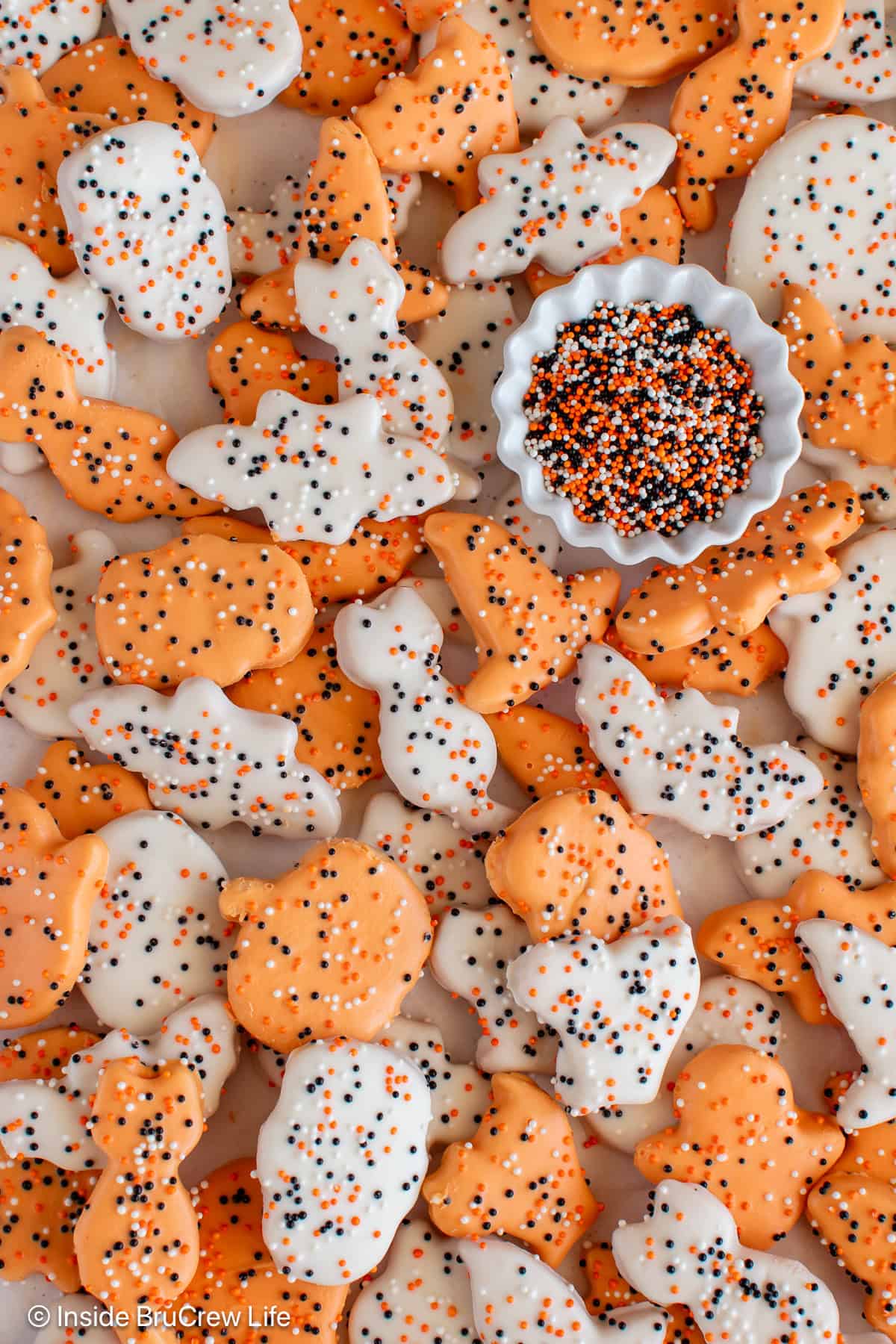 A close up of orange and white frosted animal cookies.